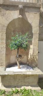 Appartement neuf centre historique - Bordéus - 3