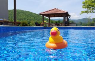 Villa Debelo Brdo by Villas Guide - Debelo Brdo - 8