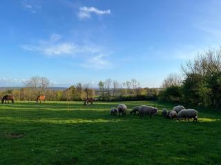 Gite de la Tourelle - Grosville - 6
