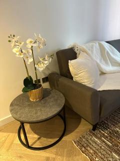 Modern 2 bed flat in Marylebone - Londra - 2