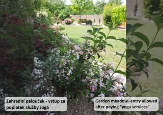 Apartmán Vital na Pálavě - ubytování & životní restart - Pasohlávky - 7