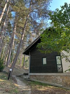 Sumska Idila - 9