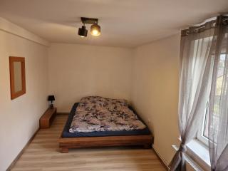 Przestronny apartament +siłownia - Bytom - 9