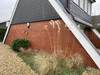 Am Ringwall 102 - 2