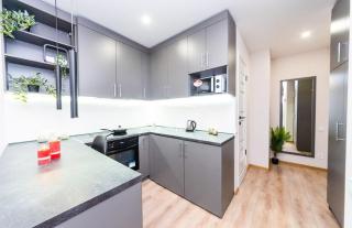 Шикарні апартаменти , Ревуцкого 40в , м Харьківска, Позняки - Kiev - 1