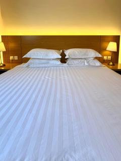 فندق راود - 1