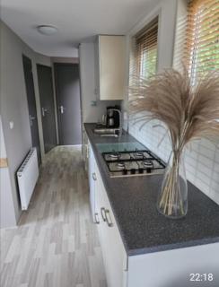 Puur genieten chalet met tuinkamer, bos en bosbad - Havelte - 7