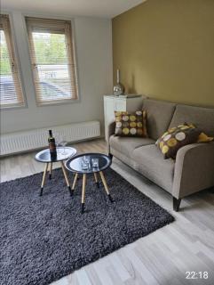 Puur genieten chalet met tuinkamer, bos en bosbad - Havelte - 8