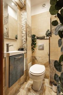 Qult - Terranova - Bucharest - 1