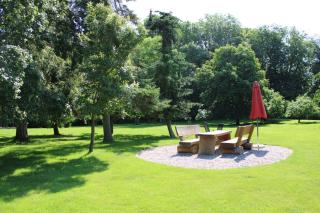 Veilchen - - 3
