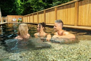 Das Goldjuwel - Luxury Apartments with private Spa - Goldegg - 8