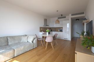 Skau Sky Park Pearl 17 floor Panoramic view Free Parking - Bratislava - 8