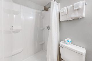Tradewinds 603 - Orange Beach - 1