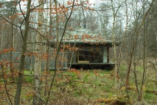 Experience Nature In Architect-Designed Cabin - 5