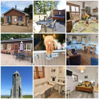 The Pepper pot - Niton - 0
