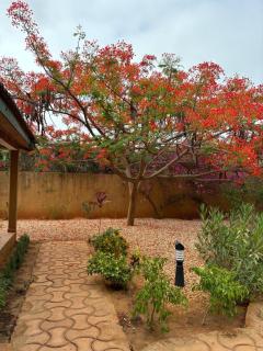 Charming Vacation House - Ngaparou - 8