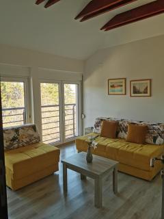 Vila Una Fruška gora - Novi Sad - 3