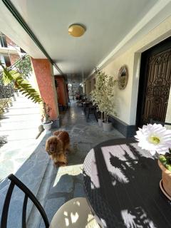 Guest House Panda - 1