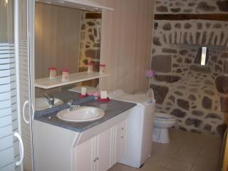 Gîte Le Rosier - Saint-Mamet-la-Salvetat - 4
