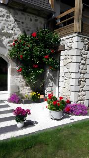 Gîte Le Rosier - Saint-Mamet-la-Salvetat - 1