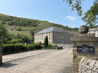 The Bobbin Mill, Cressbrook - Cressbrook - 0