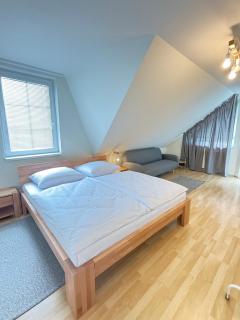 DiamondVilla, 4 bedroom Apartment, garden & spa - Prag - 9