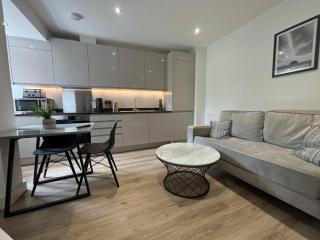Business-Ready Studio Free Parking - NEC & Airport - Solihull - 9