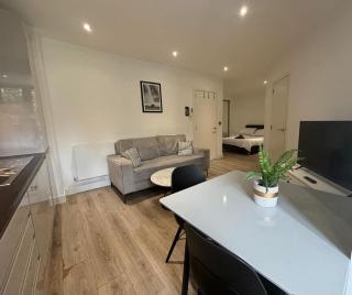 Business-Ready Studio Free Parking - NEC & Airport - Solihull - 4