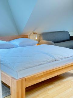 DiamondVilla, 4 bedroom Apartment, garden & spa - Prag - 5