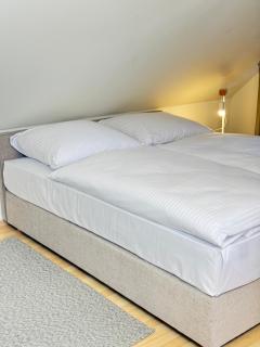 DiamondVilla, 4 bedroom Apartment, garden & spa - Prag - 7