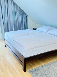 DiamondVilla, 4 bedroom Apartment, garden & spa - Prag - 6