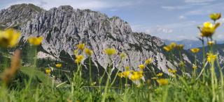 Sonnleitn AlpinWell Appartment (Ski in&out + Wellness) - Hermagor - 9