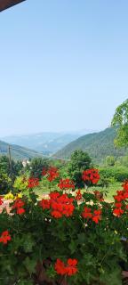 Casa vacanza Da Lara - - 9