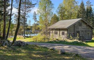 Rådjuret - Fegen - 9