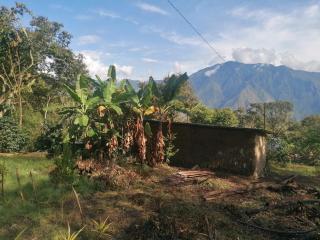Jungle Lodge Quillabamba All included - - 7