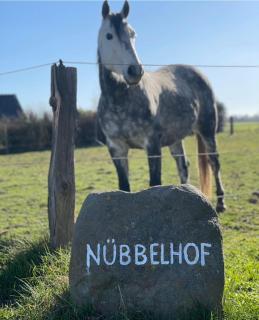 Ferienbauernhof Nübbelhof Ferienhaus Melkhuus - Kappeln - 4