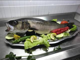 Corniche Hotel & Restaurant - Monastir - 5