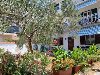 Tihana-ground floor with large terrace - 6