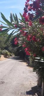 La Ginente Villa - 4