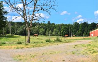 Awesome Home In Backaryd - Backaryd - 2