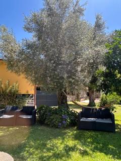 Casa Matreiro - Proselo - 6