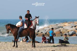 Elvina Homestay - Nearby Airport & Beaches - Gua Sai - 4