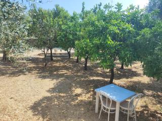DOM BUCOLICUS Ostel - Peschici - 5