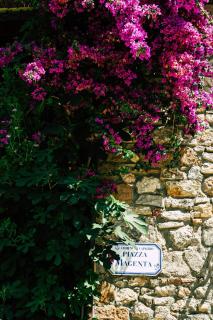 La Magentina - Capalbio - 8