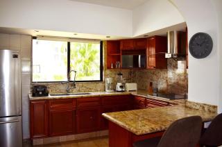 Vidanta Villas Golf - Jacuzzi, Alberca, Lago - Acapulco - 5