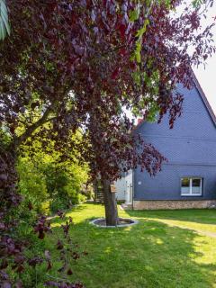 Ferienhaus Big Family - Ellrich - 7
