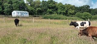 Mobil Home entre terre et mer - - 0