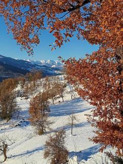 That's amore casa vacanze B&B - - 8