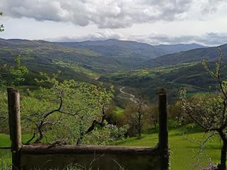 That's amore casa vacanze B&B - - 4