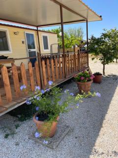 Agricampeggio Ginevra - 6